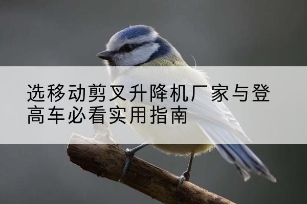 龙安电动升降机厂家-选移动剪叉升降机厂家与登高车必看实用指南