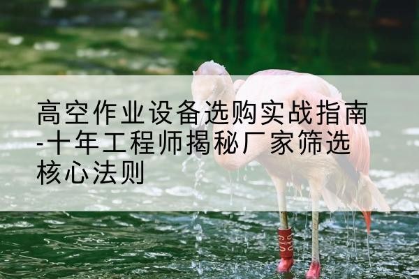 龙安剪叉式升降机厂家-高空作业设备选购实战指南-十年工程师揭秘厂家筛选核心法则