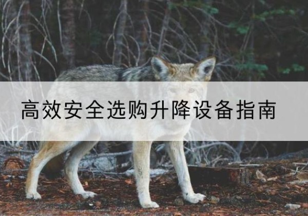 龙安升降货梯厂家推荐-*安全选购升降设备指南