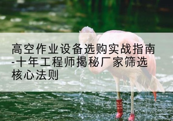 龙安剪叉式升降机厂家-高空作业设备选购实战指南-十年工程师揭秘厂家筛选核心法则